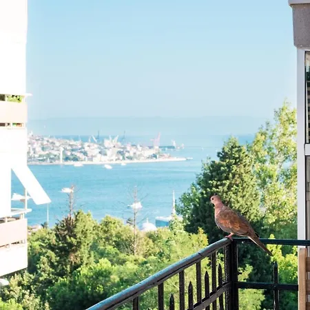 Homie - Historical In The Center Of Besiktas