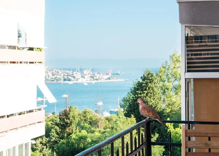 Homie - Historical In The Center Of Besiktas